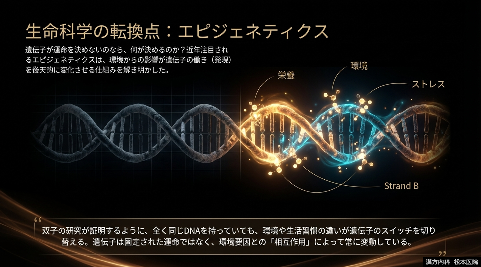 【「“生命の本質”から根本治療を考える」シリーズ第一弾：生命とは何か？Part8　遺伝子は生命の本質ではない！？　～エピジェネティクスが示す環境による影響～】