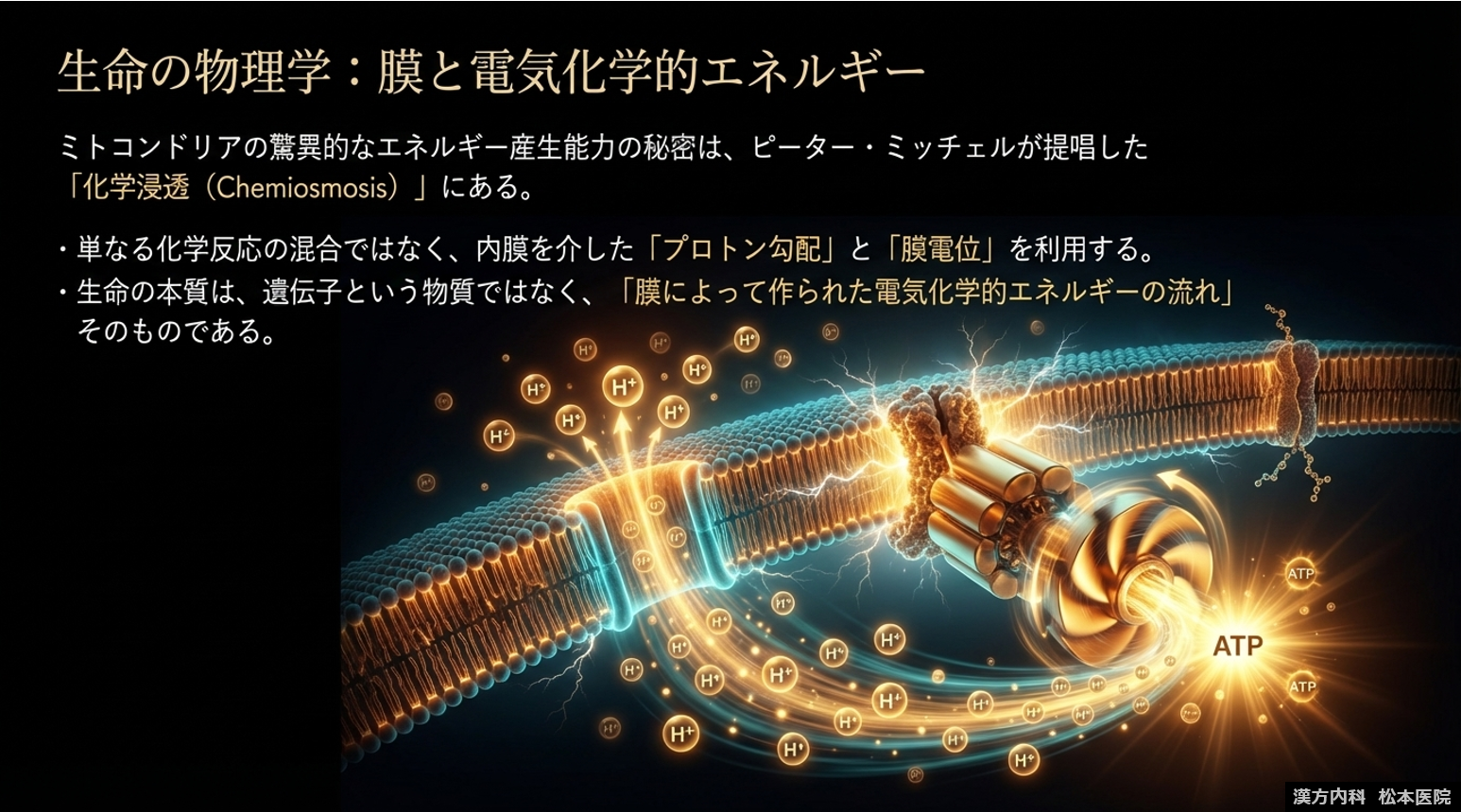 【「“生命の本質”から根本治療を考える」シリーズ第二弾：生命を支えるミトコンドリア Part２　ミトコンドリアはなぜ圧倒的なエネルギーを生み出せるのか　～膜と電気の生命物理学～】