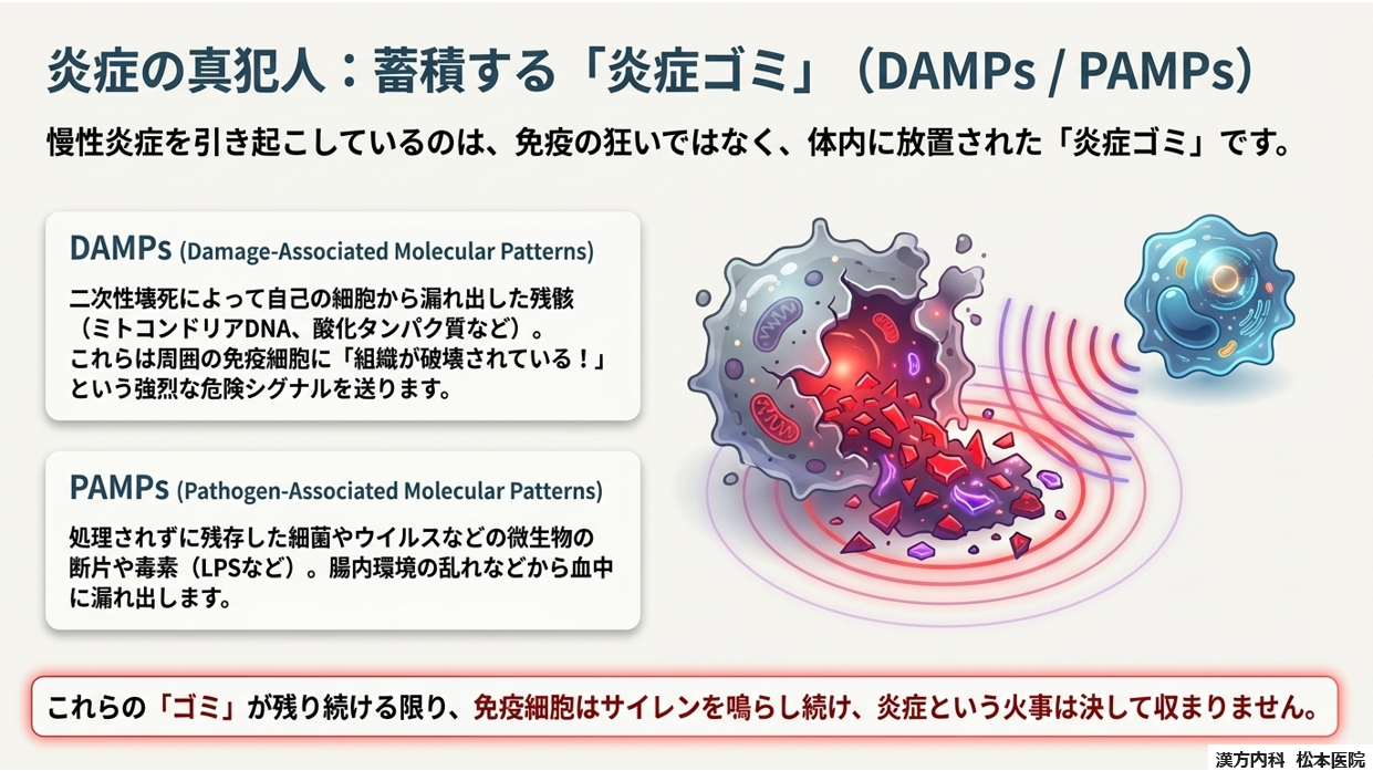 「“生命の本質”から根本治療を考える」シリーズ第三弾：免疫とは何か？ Part７ 免疫システムの破綻と「慢性炎症」　～免疫抑制が慢性炎症を産む～